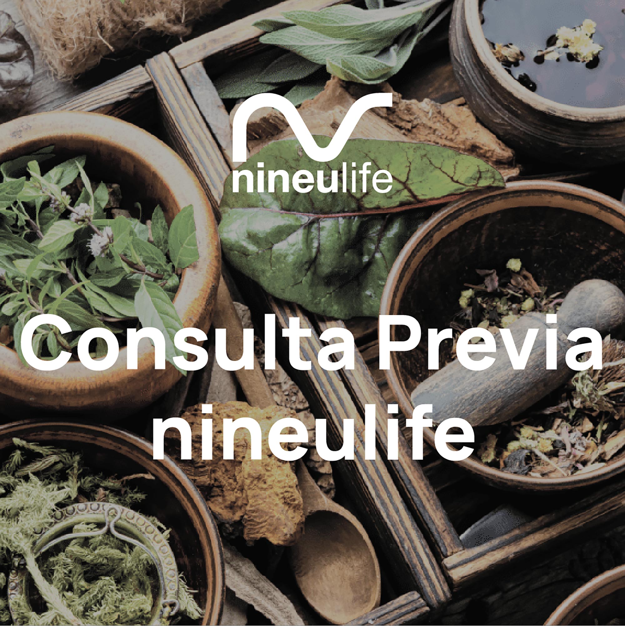 Consulta_Previa_s